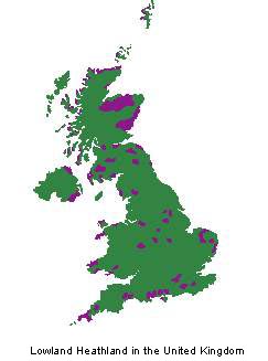 Lowland heathland in the United Kingdom showing the location of Tomorrow's Heathland Heritage Projects